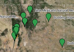 Map of NM cannabis dispensaries