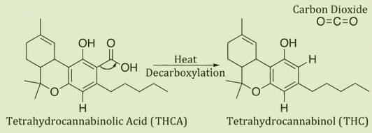 THC and THCa molecules